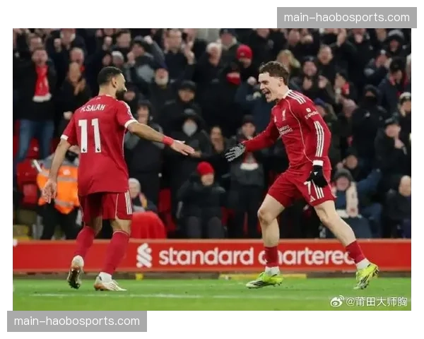 桑德兰升班马表现惊艳 46分已提前完成保级任务